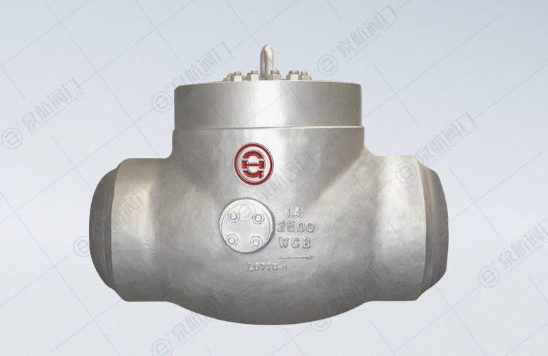 Class Power Swing Check Valve